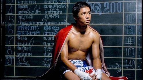 Beautiful Boxer filmas žiurėti online