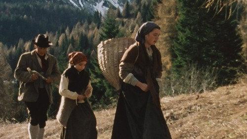 Maria Zef filmas žiurėti online