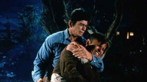 Guns of Diablo filmas žiurėti online