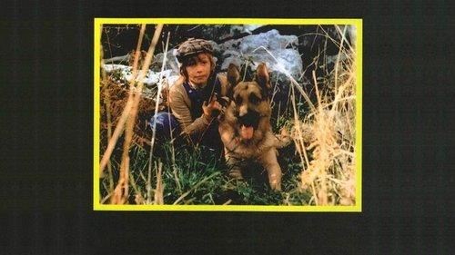 White Fang and the Kid filmas žiurėti online