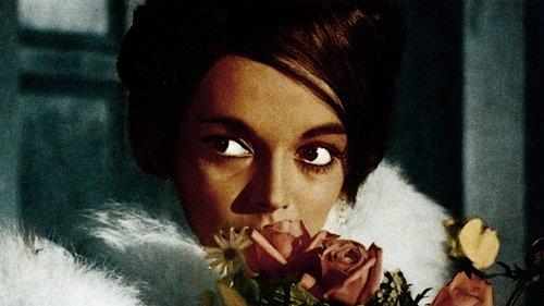 Lo spettro filmas žiurėti online