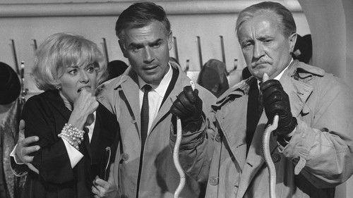 Der Hexer filmas žiurėti online