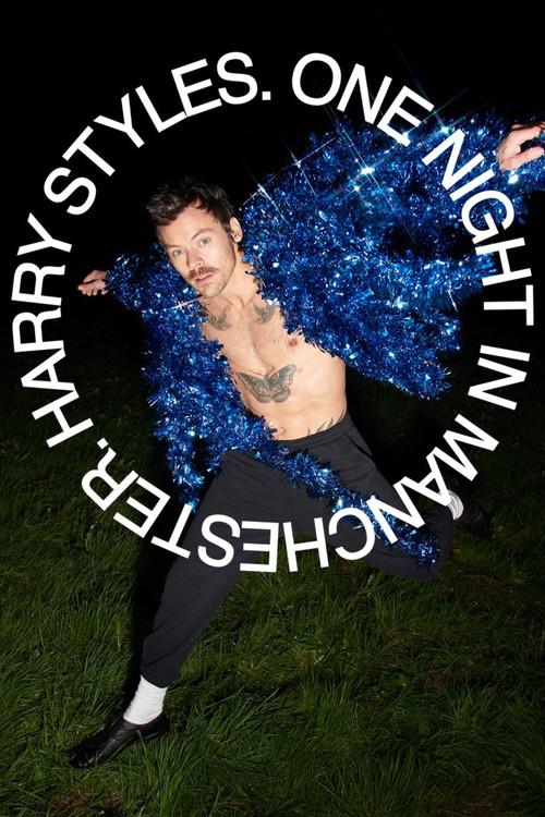 Harry Styles. One Night in Manchester. filmas online