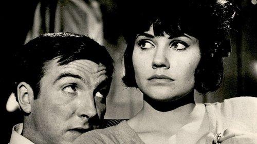 Saturday Night Out filmas žiurėti online