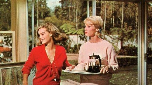 Gerasis kaimynas Semas filmas žiurėti online