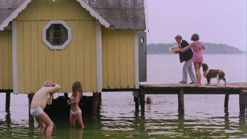 Dog Days filmas žiurėti online