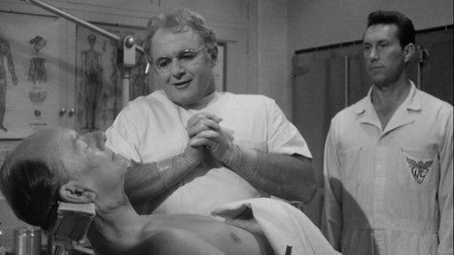 The Loved One filmas žiurėti online