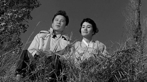 A Drifting Story filmas žiurėti online