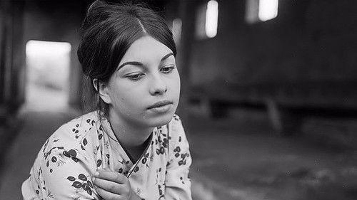 The Road That Has No End filmas žiurėti online