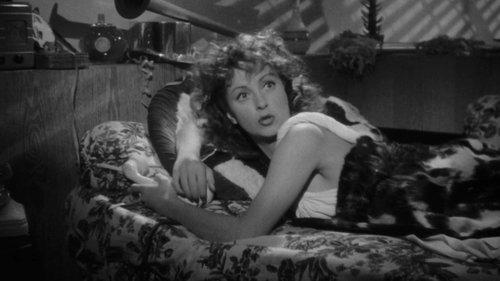 Goodbye Darling filmas žiurėti online