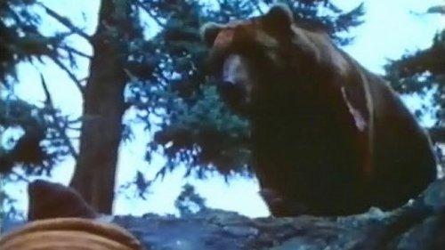 Claws filmas žiurėti online