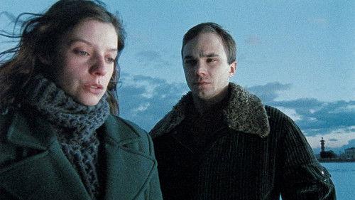 Transe filmas žiurėti online