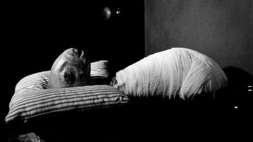 Eraserhead filmas žiurėti online