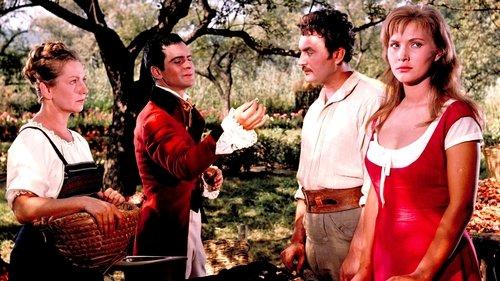 The Man of Gold filmas žiurėti online