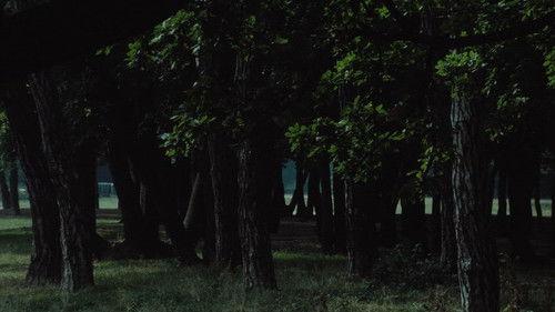 Le Navire Night filmas žiurėti online