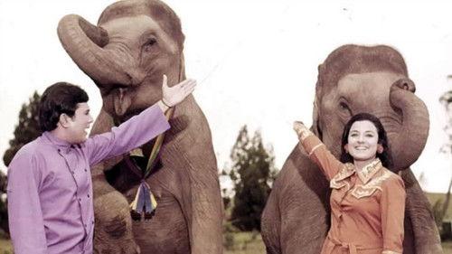 Haathi Mere Saathi filmas žiurėti online