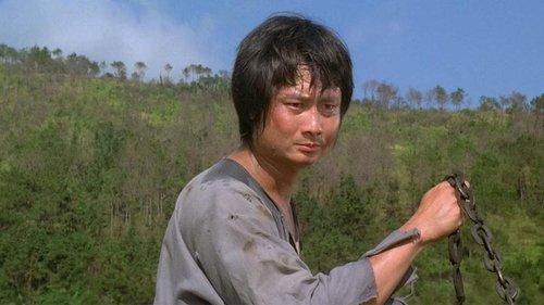 Monkey Kung Fu filmas žiurėti online