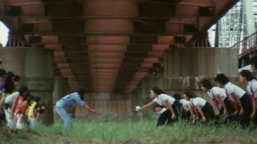 Girl Boss: Crazy Ball Game filmas žiurėti online