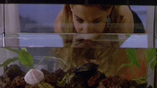 Clams and Mussels filmas žiurėti online