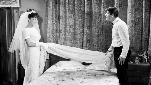 I stole my wife filmas žiurėti online