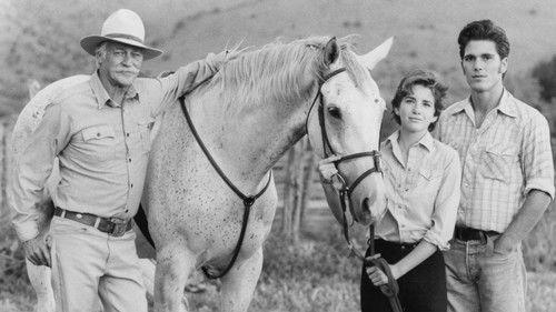 Sylvester filmas žiurėti online