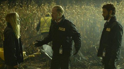 Brace for Impact filmas žiurėti online