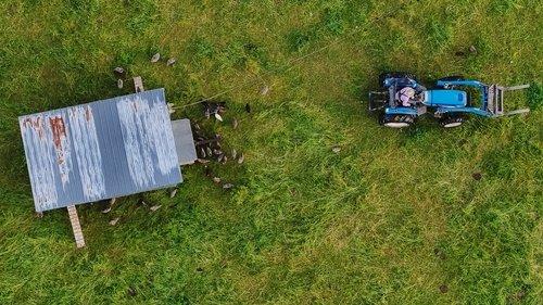 The Lunatic Farmer filmas žiurėti online