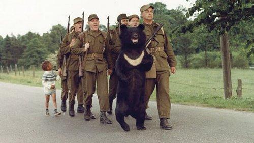 Friends at Arms: On a Bear Run filmas žiurėti online