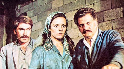 Blood Money filmas žiurėti online