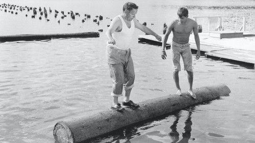 Stompa til sjøs filmas žiurėti online