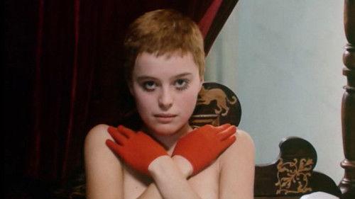 Vtáčkovia, siroty a blázni filmas žiurėti online