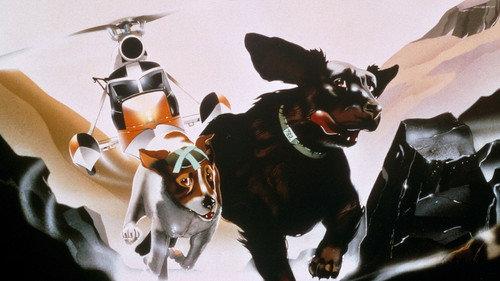 The Plague Dogs filmas žiurėti online