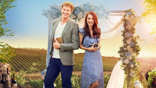 A Snapshot of Forever filmas žiurėti online