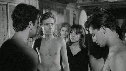 The Terrace filmas žiurėti online