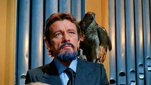 Bluebeard filmas žiurėti online