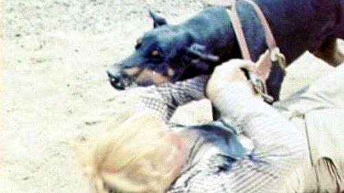 Mean Dog Blues filmas žiurėti online