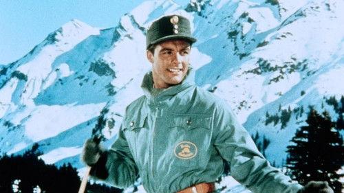 Zwölf Mädchen und ein Mann filmas žiurėti online