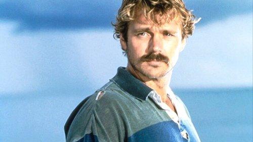 Desperate Journey: The Allison Wilcox Story filmas žiurėti online