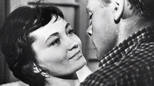 Silence filmas žiurėti online