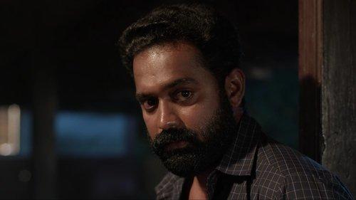 Kotthu filmas žiurėti online