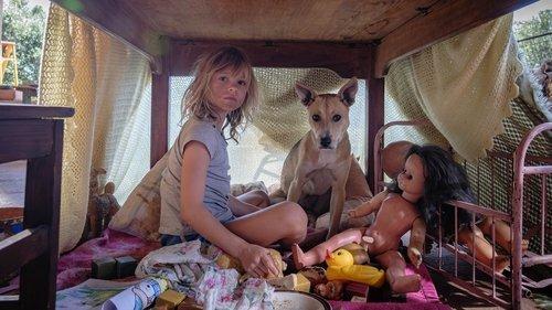 Šįvakar neikime pas šunis filmas žiurėti online