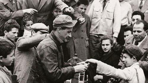 Of Fortune The Written filmas žiurėti online