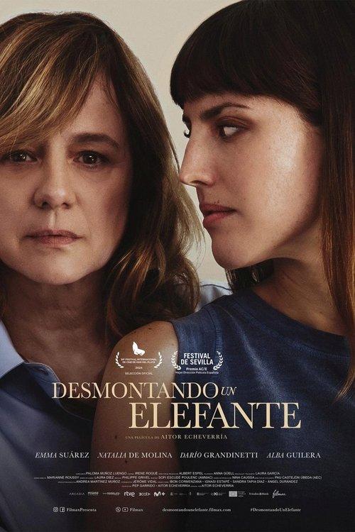 Desmontando un elefante filmas online