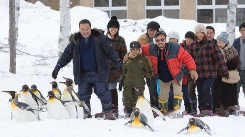 Asahiyama Zoo Story: Penguins in the Sky filmas žiurėti online