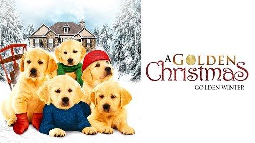 Golden Winter filmas žiurėti online