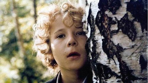 Blinker-Ciko filmas žiurėti online