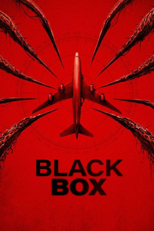 Black Box (Flight 298) filmas online
