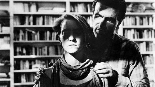 The Man Who Envied Women filmas žiurėti online