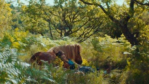 Polis filmas žiurėti online