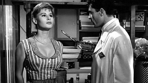 All Cream Susanna filmas žiurėti online